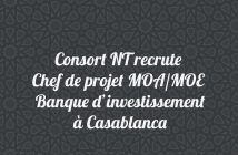 Chef de projet MOA/MOE - Banque d’investissement