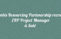 ERP Project Manager