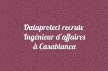 Ingénieur d'affaires