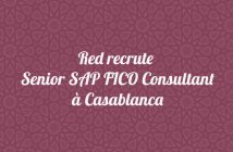 Senior SAP FICO Consultant