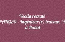 VIE/PANGEO – Ingénieur(e) travaux (M/W)