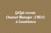 Channel Manager (EMEA)