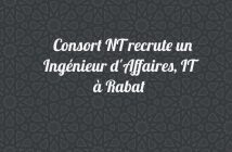 Ingénieur-Affaires-IT