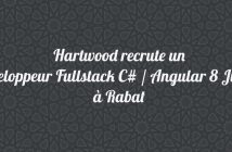 Développeur Fullstack C# / Angular 8 Junior